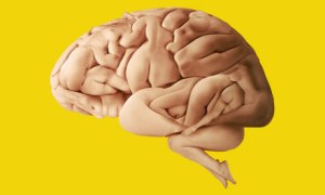 Bodies in shape of a brain