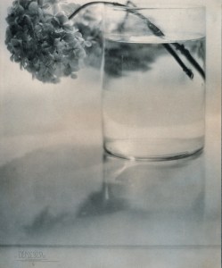 09185a44-3993-4bcf-ae5e-e97e3ff5bbde-845x1020